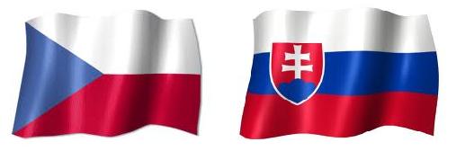 Česko - Slovenský team Stiforp